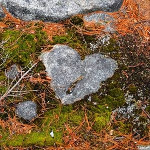 Meet your Posher, Jessy